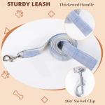 Personalized Dog Harness and Backpack Leash Set