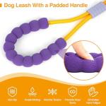 Hands-Free Dog Leash with Dual Handles