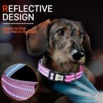 Personalized Reflective Dog Collar with QR Code