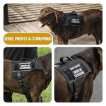 OneTigris Pink Service Dog Vest with Pockets