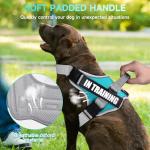 Reflective Dog Vest Harness and Leash Set