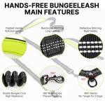 Hands-Free Bungee Dog Leash for Two Dogs