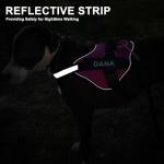 Custom Reflective Dog Harness with Name & Number
