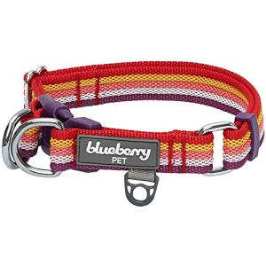 Blueberry Pet Reflective Adjustable Dog Collar