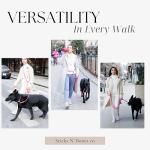 Hands-Free Dog Leash for Walking and Running