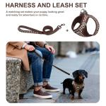 No-Pull Pet Harness with Leash for Small Dogs