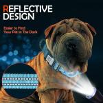 Reflective Dog Collar with AirTag Holder & QR Code