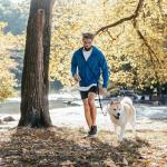 Hands-Free Dog Leash and Harness Set - 9-in-1