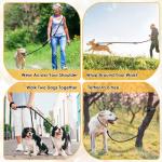 Lukovee Adjustable Hands-Free Dog Leash 10FT