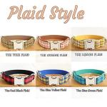 Customizable Nylon Dog Collar with Engraved ID