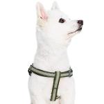 Reflective Step-in Dog Harness in Dark Olive