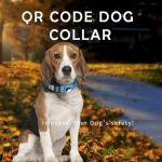 Reflective Dog Collar with AirTag Holder & QR Code
