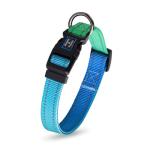 Personalized Adjustable Dog Collar in Bluegreen