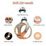 Soft Mesh Dog Harness and Leash Set for Small Pets