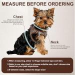 No-Pull Pet Harness with Leash for Small Dogs