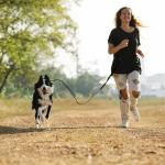 Hands-Free Dog Leash and Harness Set - 9-in-1