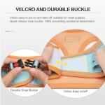 Soft Mesh Dog Harness and Leash Set for Small Pets