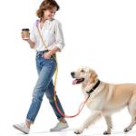 Hands-Free Dog Leash with Dual Handles