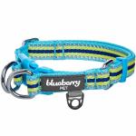 Adjustable Reflective Dog Collar in Blue and Yellow