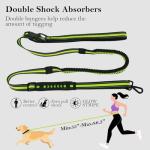 Hands-Free Dog Leash for Walking and Running