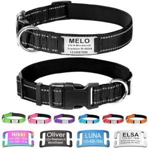 Custom Reflective Dog Collar with Engraved ID Tag