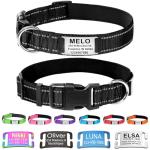Custom Reflective Dog Collar with Engraved ID Tag