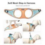 Soft Mesh Dog Harness and Leash Set for Small Pets