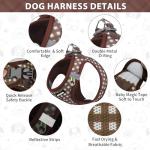 No-Pull Pet Harness with Leash for Small Dogs