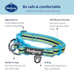 Adjustable Reflective Dog Collar in Blue and Yellow
