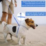 Hands-Free Dog Leash and Harness Set - 9-in-1