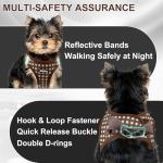 No-Pull Pet Harness with Leash for Small Dogs