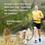 Hands-Free Dog Leash for Walking and Running