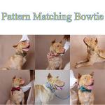 Customizable Nylon Dog Collar with Engraved ID