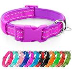 Reflective Soft Neoprene Dog Collar with ID Tag
