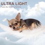 No-Pull Pet Harness with Leash for Small Dogs