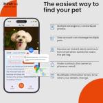 Personalized Reflective Dog Collar with QR Code