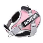Personalized No-Pull Dog Harness with Custom Patches