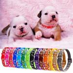 12 Pack Adjustable Nylon Puppy ID Collars