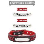 Custom Engraved Leather Dog Collar with Nameplate