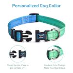 Personalized Adjustable Dog Collar in Bluegreen