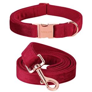 Cute Velvet Dog Collar and Leash Set