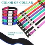 Custom Reflective Dog Collar with Engraved ID Tag