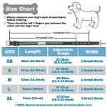 Custom Engraved Leather Dog Collar with Nameplate