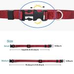 Adjustable Nylon ID Collars for Puppies - Set of 15