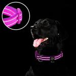 Reflective Soft Neoprene Dog Collar with ID Tag