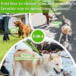 Hands-Free Dog Leash for Walking and Running