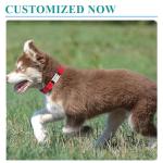 Custom Reflective Dog Collar with Engraved ID Tag