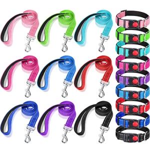 Silkfly Adjustable Dog Collar and Leash Set
