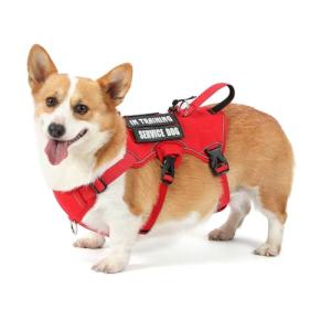 Escape Proof Soft Padded Dog Harness for Small Dogs
