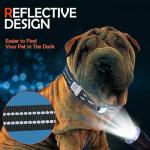 Reflective Dog Collar with AirTag Holder & QR Code